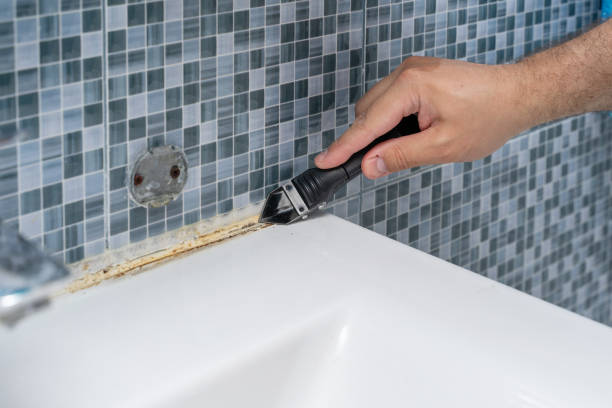 Best Mold Testing  in Alma, GA