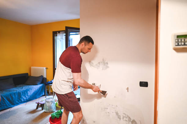 Mold Testing and Removal in Alma, GA